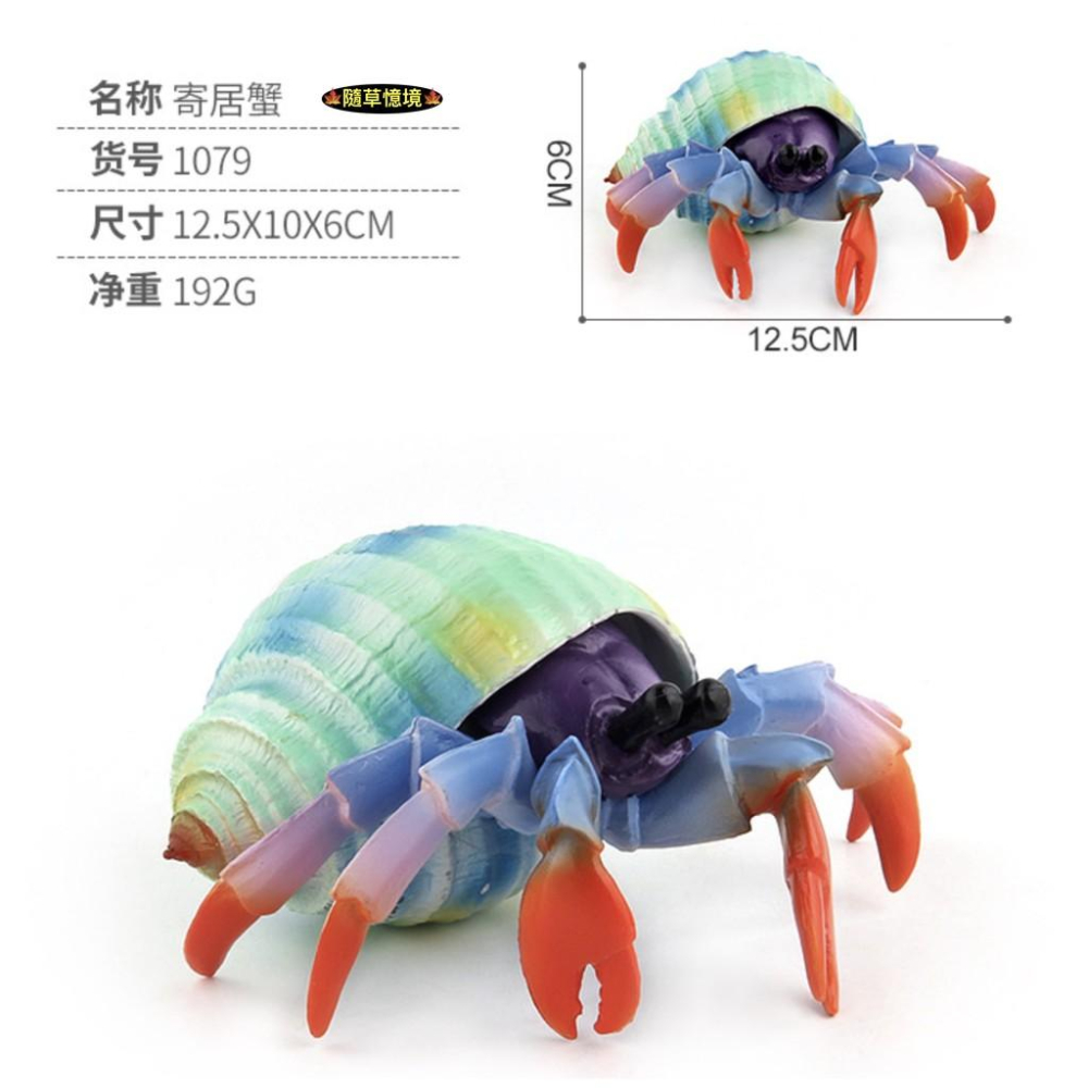 （5款大號） SPG 斑魚鯊 烏賊 魷魚 章魚 海馬 寄居蟹 鯊魚 仿真 海洋生物 野生 動物模型 兒童 益智玩具-細節圖9