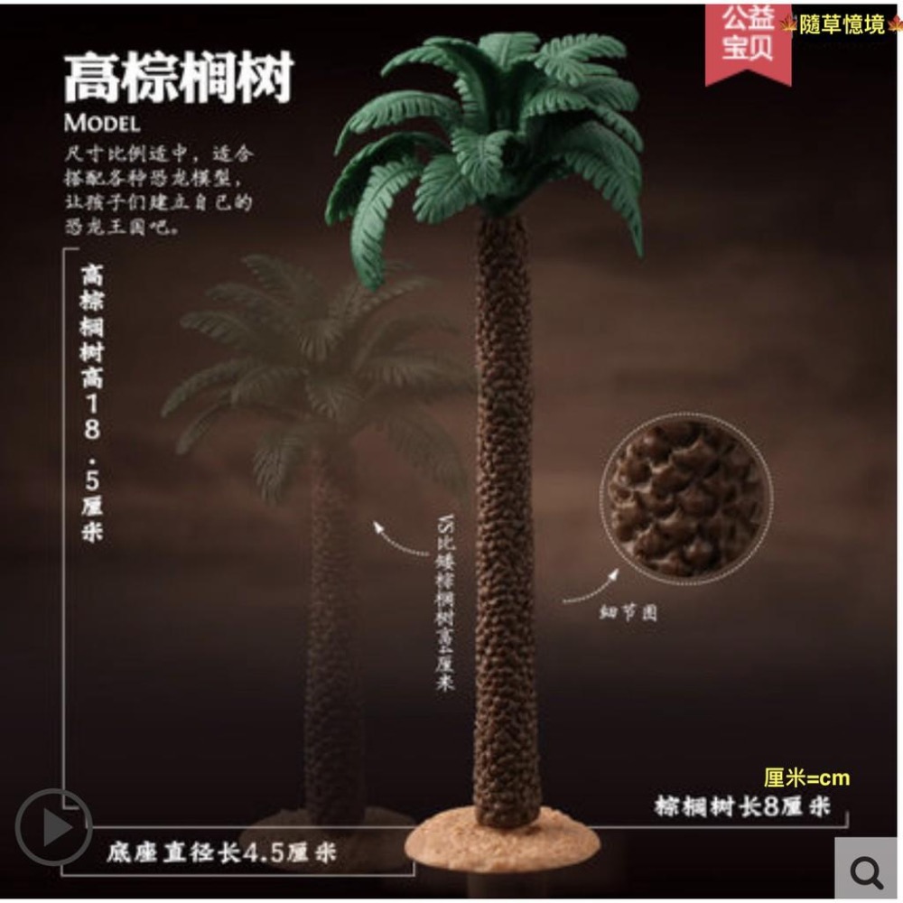 （大號7款）仿真樹 森林 椰樹 棕櫚 草叢 鐵樹 樹木 大樹 沙盤 樹林 古代 植物 野生動物 模型-細節圖4