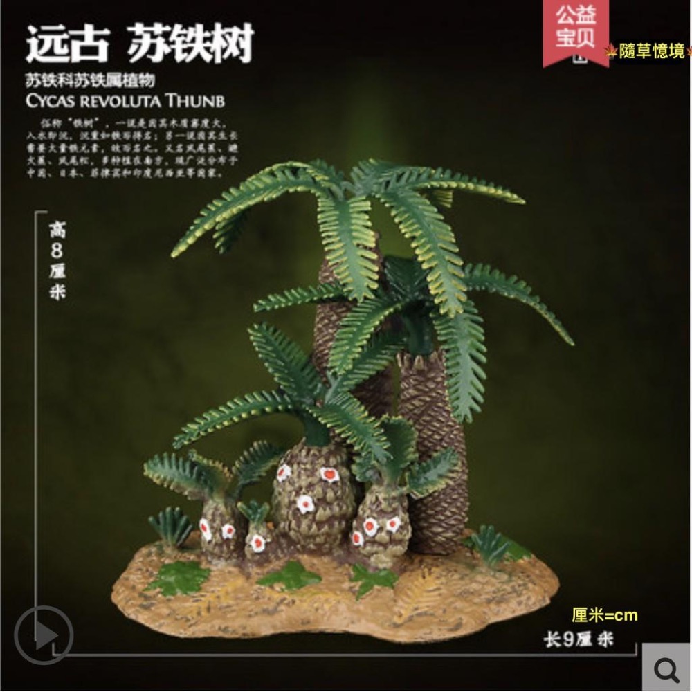 （大號7款）仿真樹 森林 椰樹 棕櫚 草叢 鐵樹 樹木 大樹 沙盤 樹林 古代 植物 野生動物 模型-細節圖6