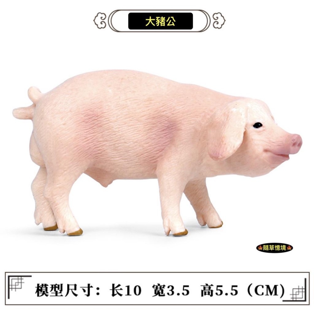 （6款）SPG 仿真 豬公 母豬 小豬 越南豬 花豬 迷你豬 實心 動物模型 野生動物 兒童玩具 益智-細節圖2