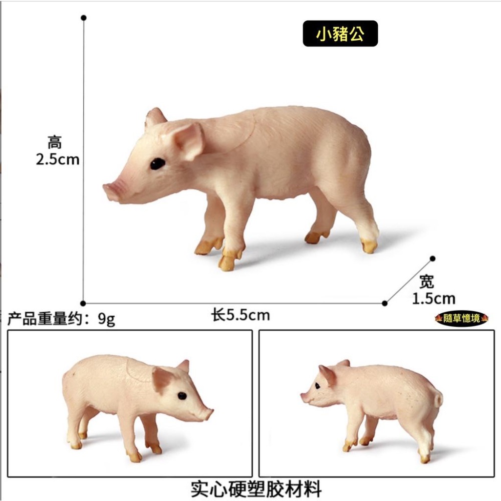 （6款）SPG 仿真 豬公 母豬 小豬 越南豬 花豬 迷你豬 實心 動物模型 野生動物 兒童玩具 益智-細節圖3