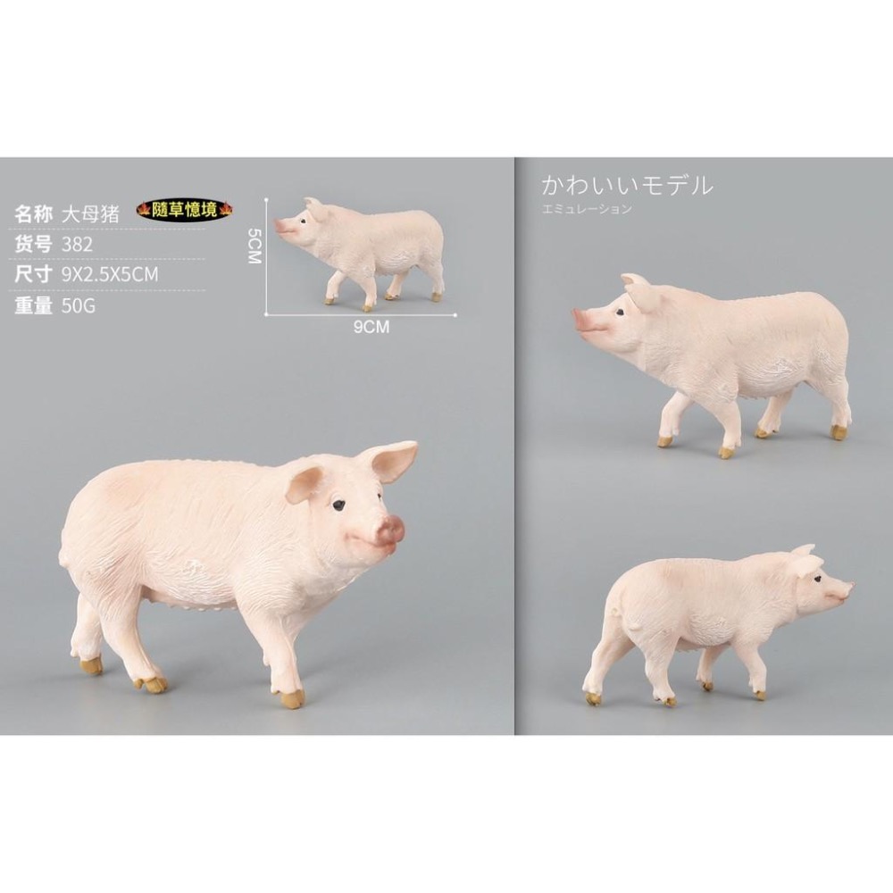 （6款）SPG 仿真 豬公 母豬 小豬 越南豬 花豬 迷你豬 實心 動物模型 野生動物 兒童玩具 益智-細節圖4
