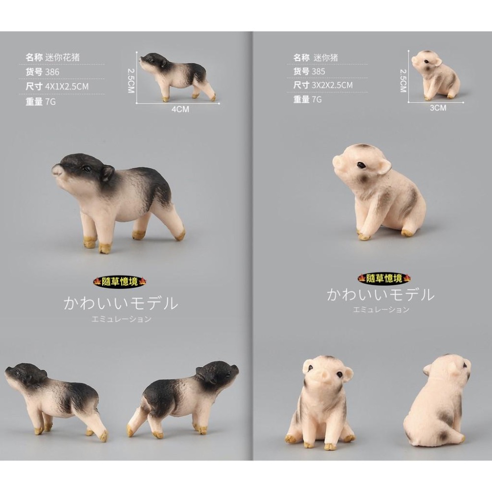 （6款）SPG 仿真 豬公 母豬 小豬 越南豬 花豬 迷你豬 實心 動物模型 野生動物 兒童玩具 益智-細節圖5