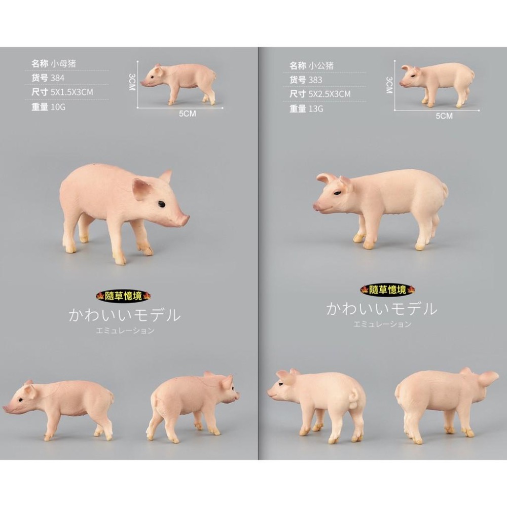 （6款）SPG 仿真 豬公 母豬 小豬 越南豬 花豬 迷你豬 實心 動物模型 野生動物 兒童玩具 益智-細節圖6