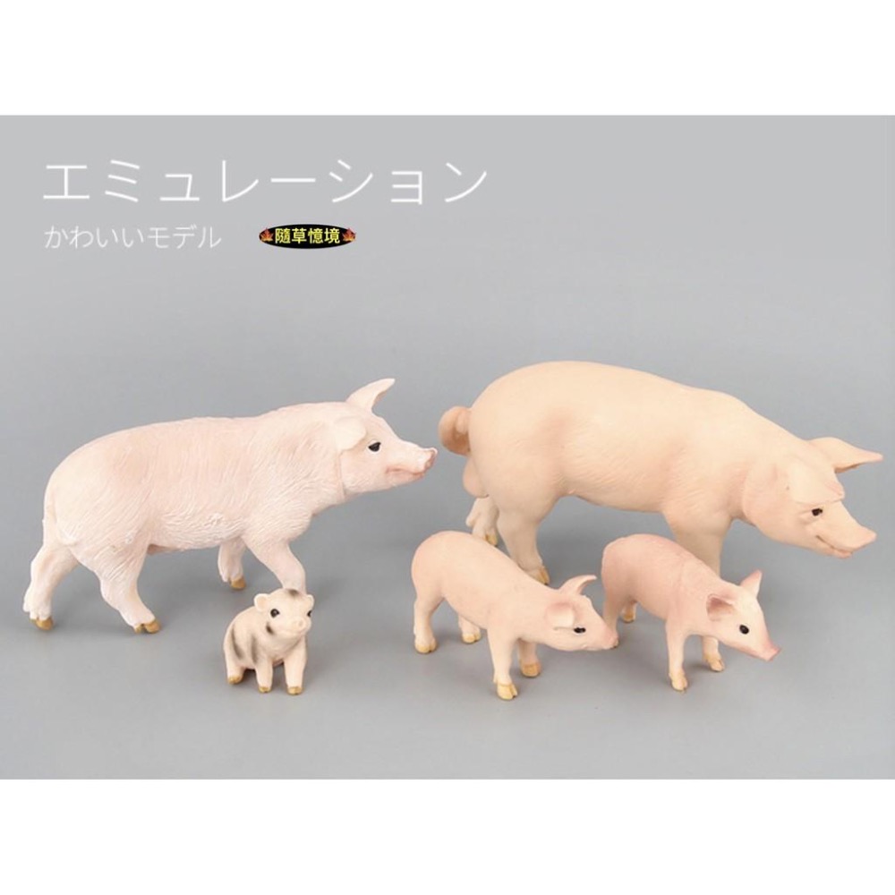 （6款）SPG 仿真 豬公 母豬 小豬 越南豬 花豬 迷你豬 實心 動物模型 野生動物 兒童玩具 益智-細節圖7