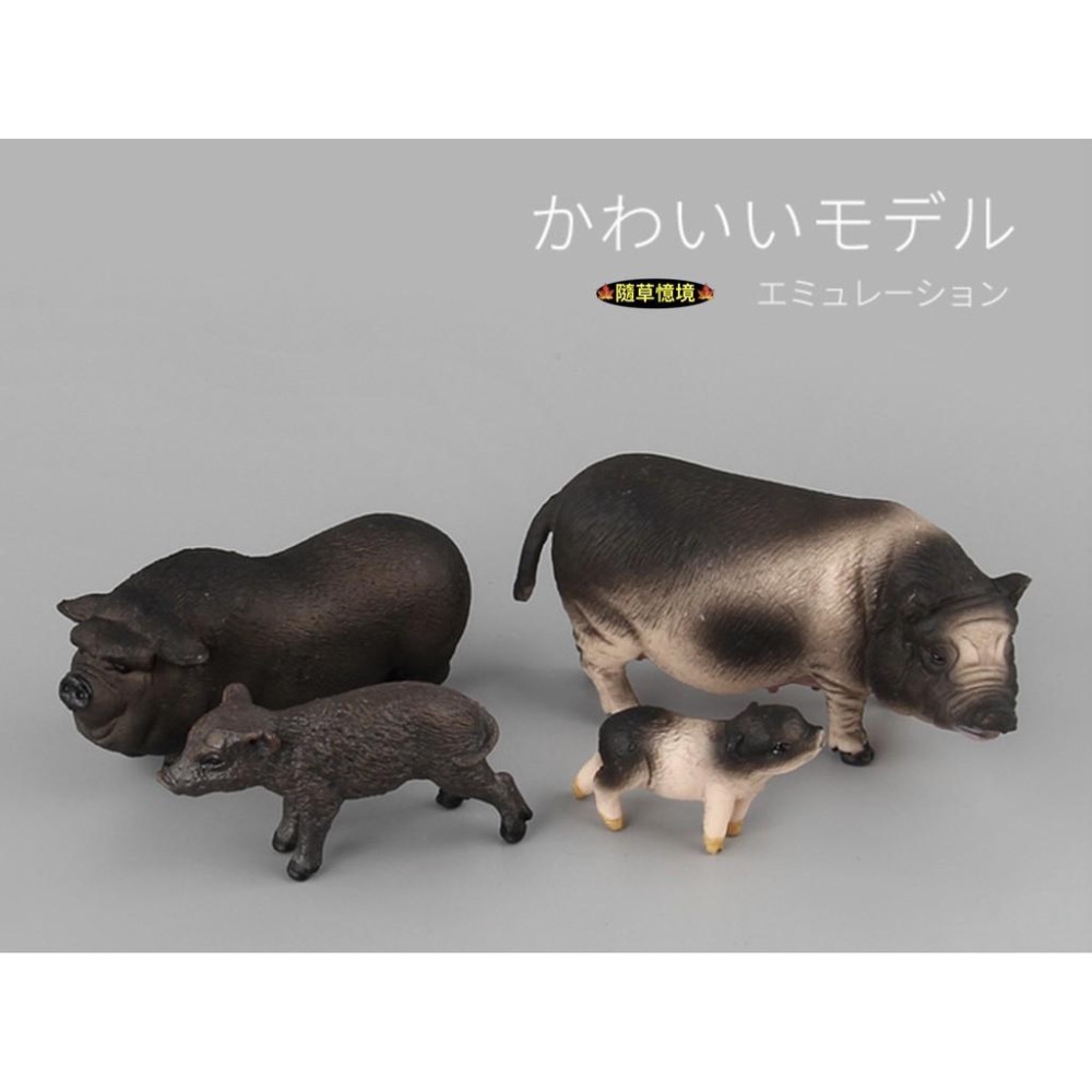（6款）SPG 仿真 豬公 母豬 小豬 越南豬 花豬 迷你豬 實心 動物模型 野生動物 兒童玩具 益智-細節圖8