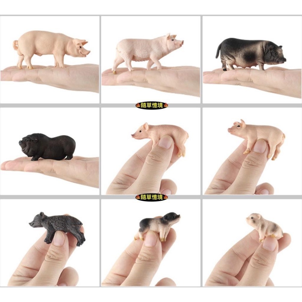 （6款）SPG 仿真 豬公 母豬 小豬 越南豬 花豬 迷你豬 實心 動物模型 野生動物 兒童玩具 益智-細節圖9