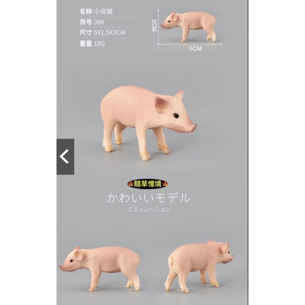 （6款）SPG 仿真 豬公 母豬 小豬 越南豬 花豬 迷你豬 實心 動物模型 野生動物 兒童玩具 益智-規格圖10