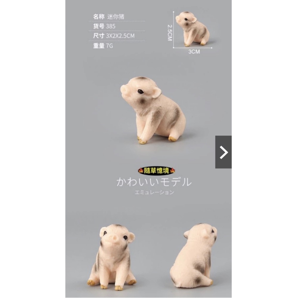 （6款）SPG 仿真 豬公 母豬 小豬 越南豬 花豬 迷你豬 實心 動物模型 野生動物 兒童玩具 益智-規格圖10
