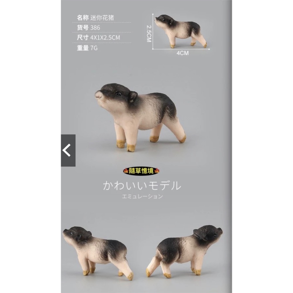 （6款）SPG 仿真 豬公 母豬 小豬 越南豬 花豬 迷你豬 實心 動物模型 野生動物 兒童玩具 益智-規格圖10