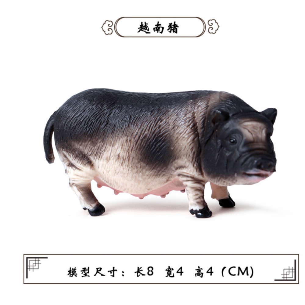 （6款）SPG 仿真 豬公 母豬 小豬 越南豬 花豬 迷你豬 實心 動物模型 野生動物 兒童玩具 益智-規格圖10