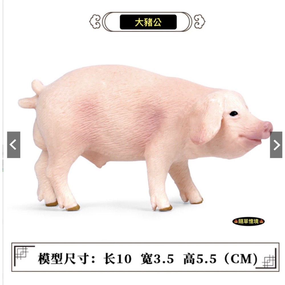 （6款）SPG 仿真 豬公 母豬 小豬 越南豬 花豬 迷你豬 實心 動物模型 野生動物 兒童玩具 益智-規格圖10