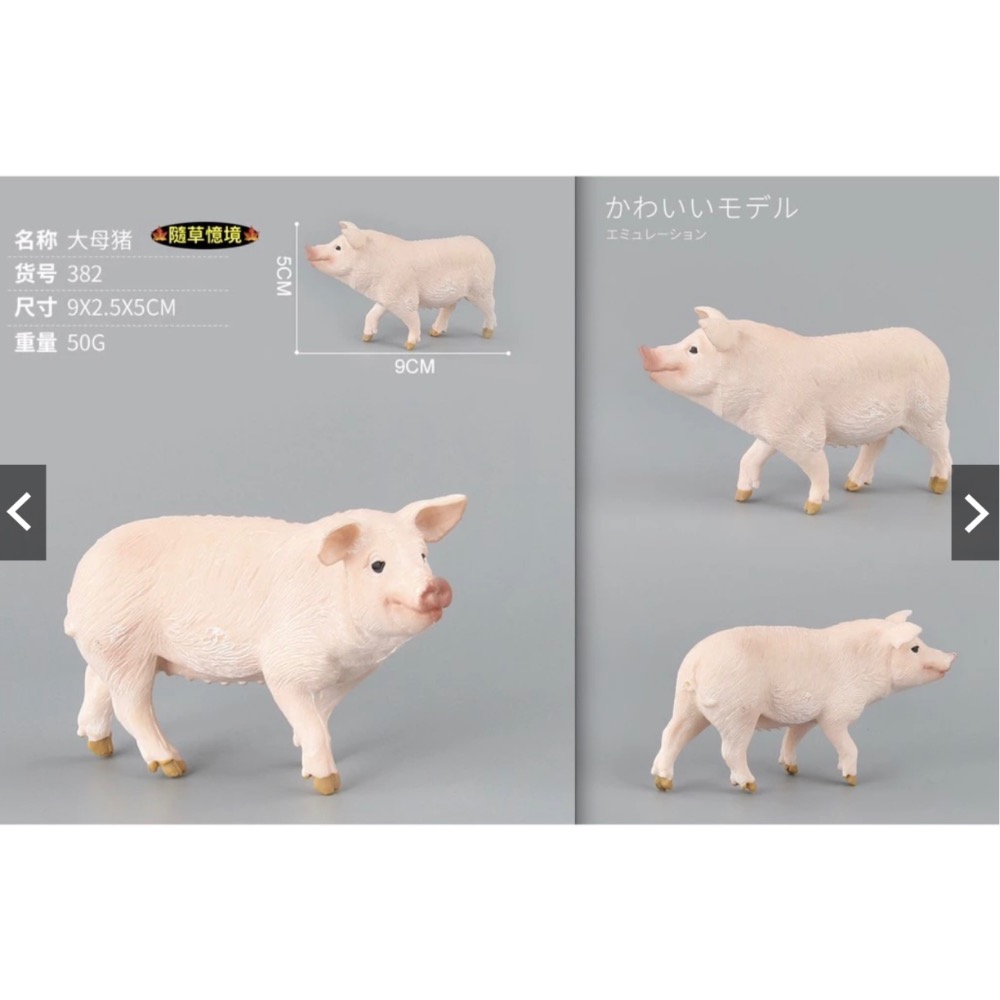（6款）SPG 仿真 豬公 母豬 小豬 越南豬 花豬 迷你豬 實心 動物模型 野生動物 兒童玩具 益智-規格圖10