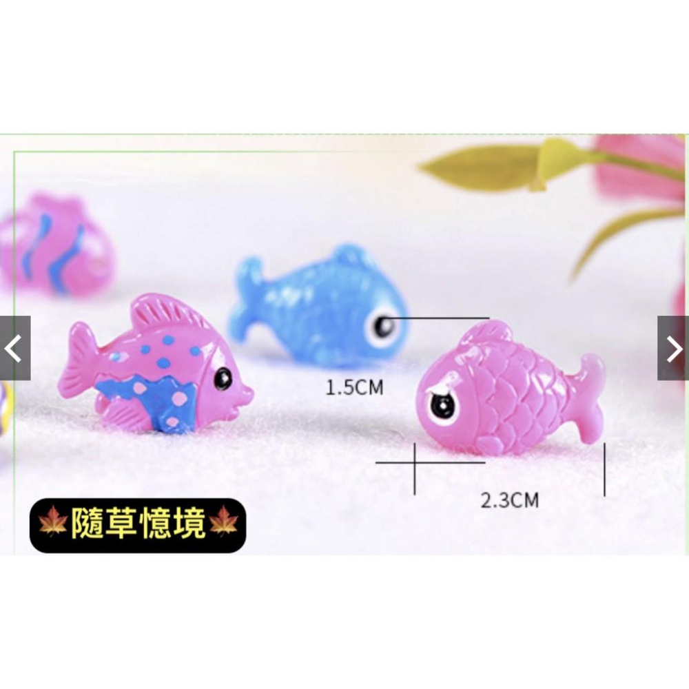 4款 五彩魚 魚 小魚 卡通魚 彩色魚 熱帶魚 海魚 魚缸裝飾 地中海風格 樹脂擺件 微景觀擺件 創意裝飾擺件-細節圖2