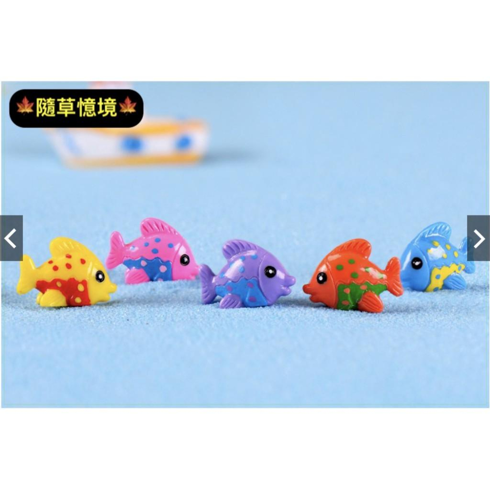 4款 五彩魚 魚 小魚 卡通魚 彩色魚 熱帶魚 海魚 魚缸裝飾 地中海風格 樹脂擺件 微景觀擺件 創意裝飾擺件-細節圖3