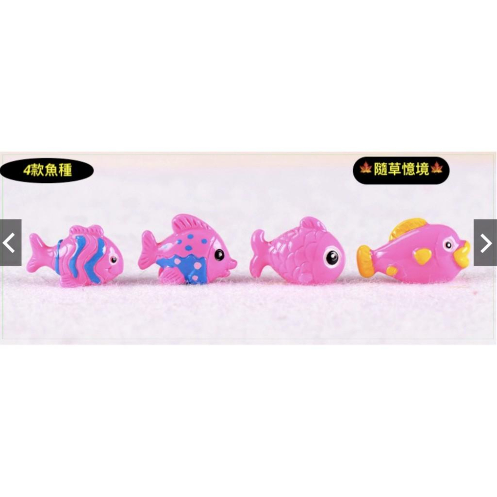 4款 五彩魚 魚 小魚 卡通魚 彩色魚 熱帶魚 海魚 魚缸裝飾 地中海風格 樹脂擺件 微景觀擺件 創意裝飾擺件-細節圖4