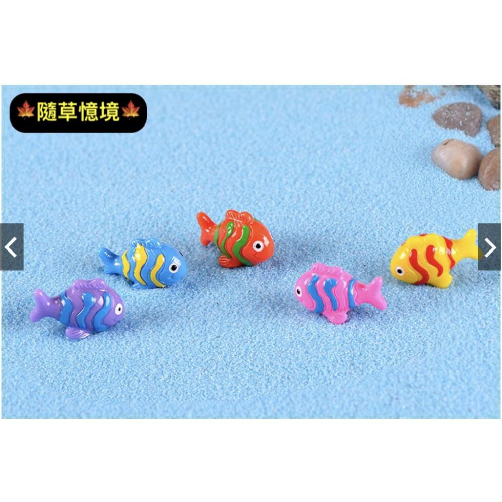 4款 五彩魚 魚 小魚 卡通魚 彩色魚 熱帶魚 海魚 魚缸裝飾 地中海風格 樹脂擺件 微景觀擺件 創意裝飾擺件-細節圖8