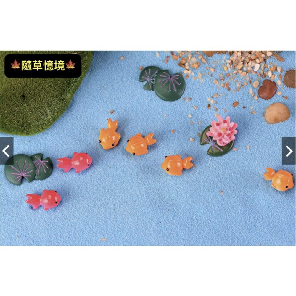 雙色 金魚 小魚 彩色魚 荷花 荷葉 苔蘚微景觀zakka迷你樹脂工藝品擺件DIY蛋糕配件飾品-細節圖6