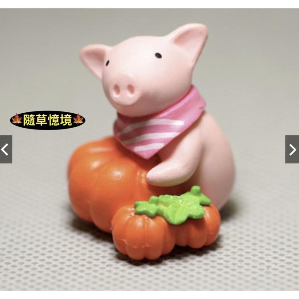 （一組4入）可愛Q版 抱南瓜水果小動物 青蛙 小豬小熊小狗 小號公仔模型擺件-細節圖6