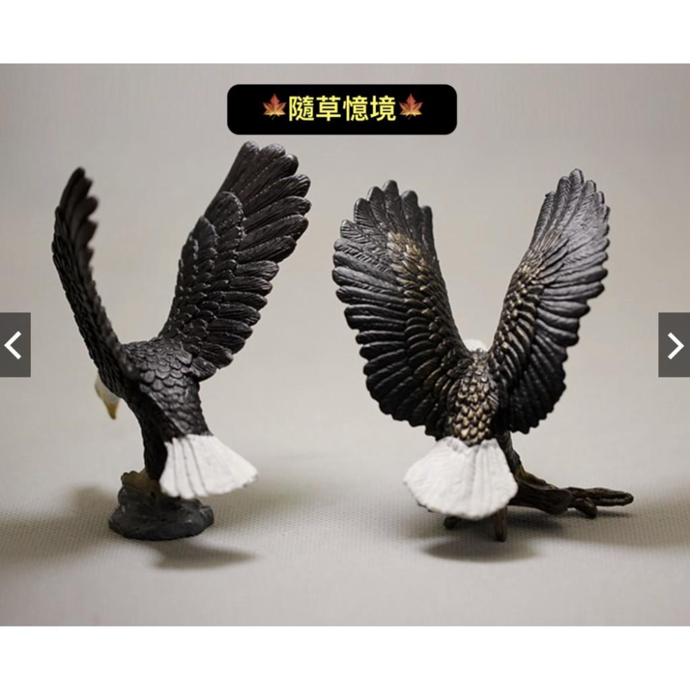 仿真動物 鳥類 白頭鷹 老鷹 禿鷹 小鳥 鷹 玩具 玩偶 模型 手辦 擺件-細節圖2