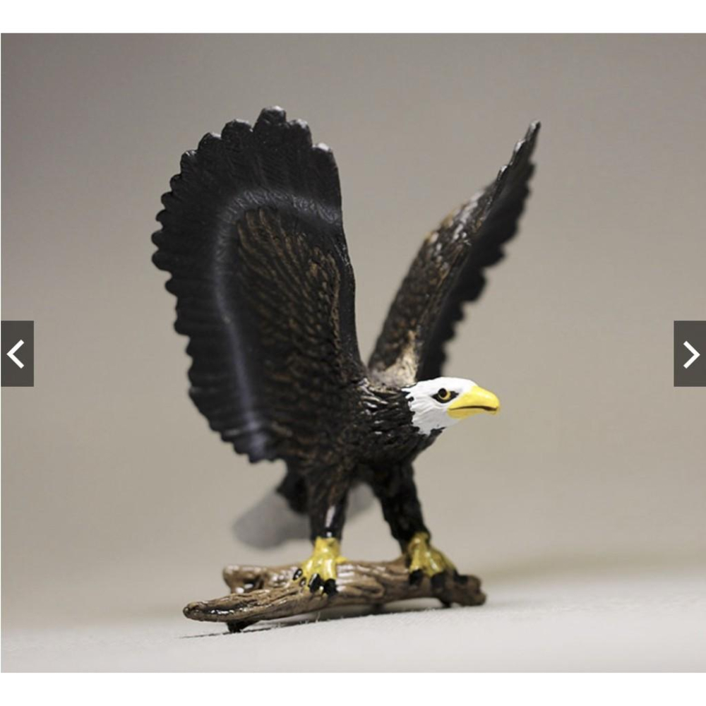 仿真動物 鳥類 白頭鷹 老鷹 禿鷹 小鳥 鷹 玩具 玩偶 模型 手辦 擺件-細節圖3