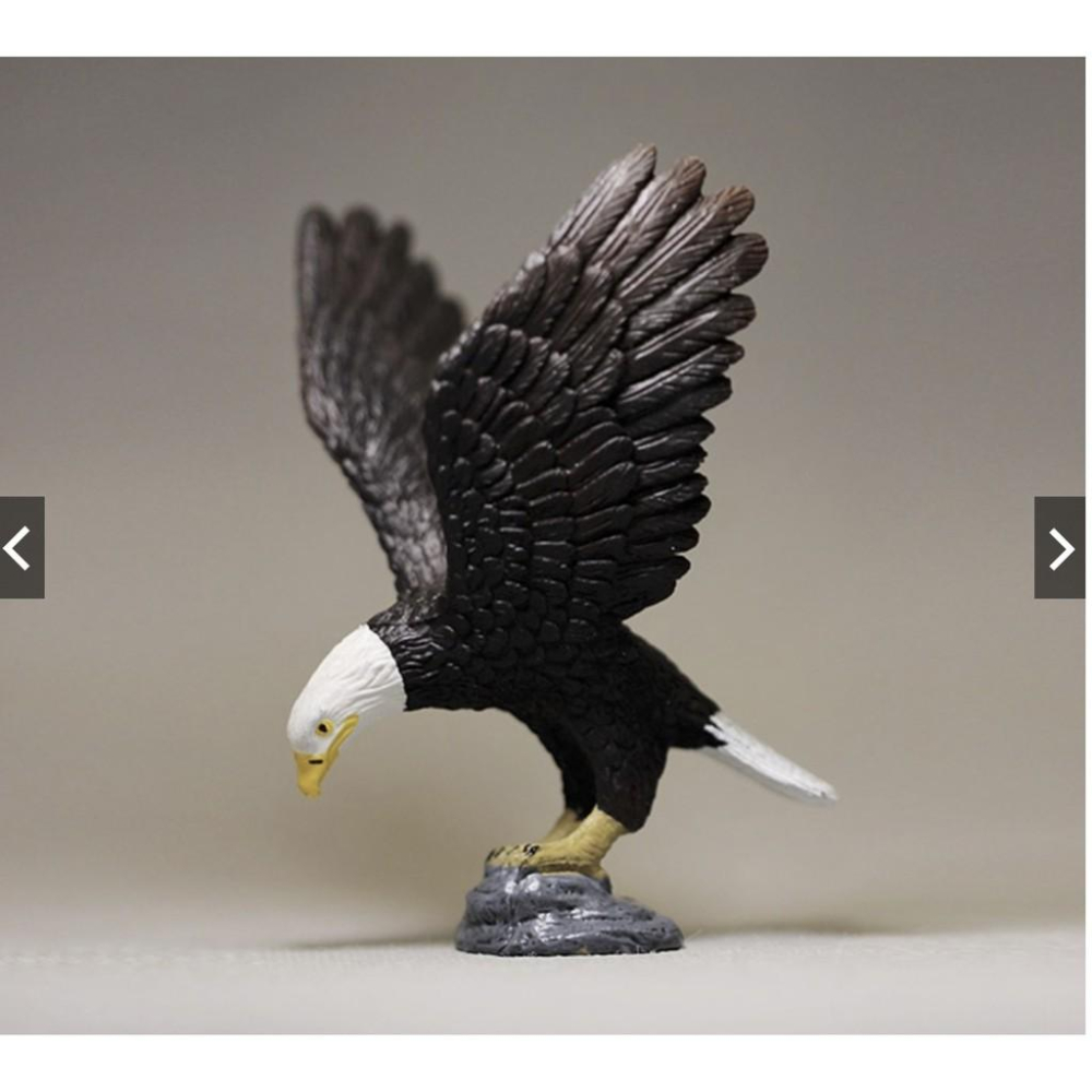 仿真動物 鳥類 白頭鷹 老鷹 禿鷹 小鳥 鷹 玩具 玩偶 模型 手辦 擺件-細節圖4