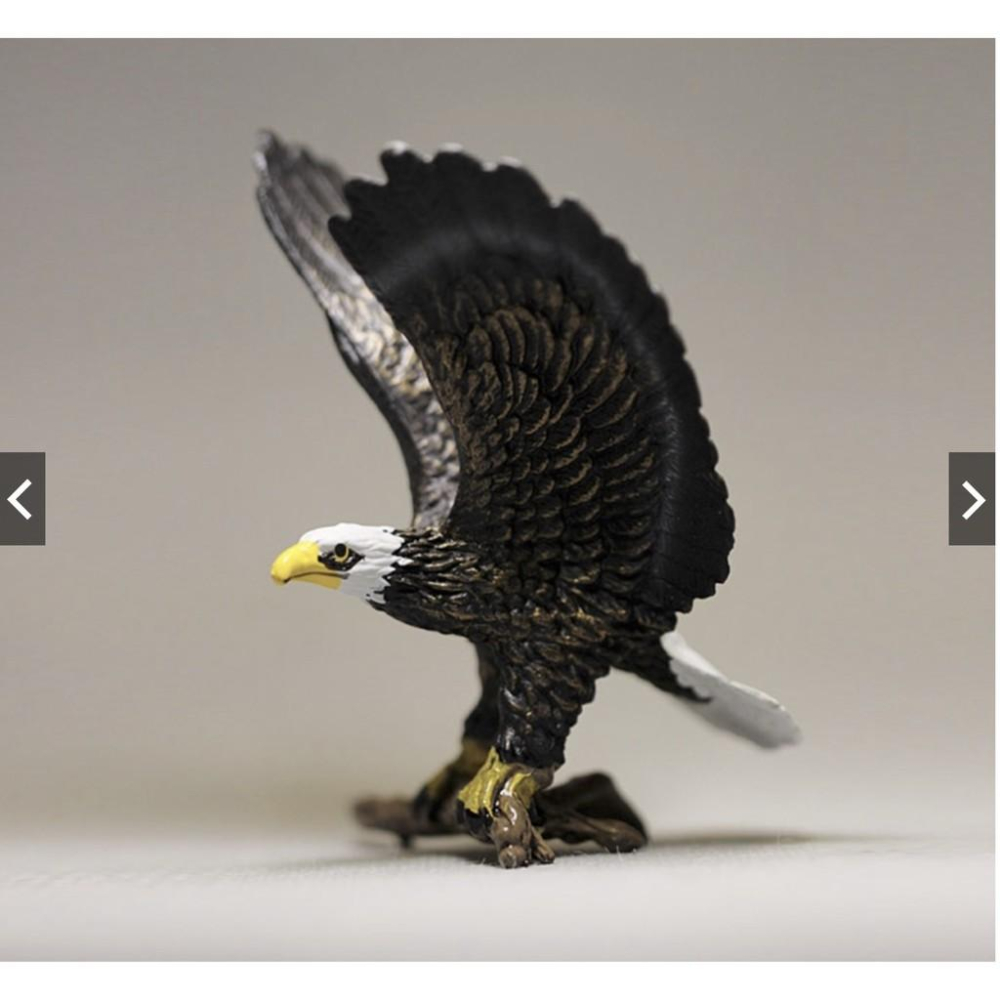 仿真動物 鳥類 白頭鷹 老鷹 禿鷹 小鳥 鷹 玩具 玩偶 模型 手辦 擺件-細節圖5