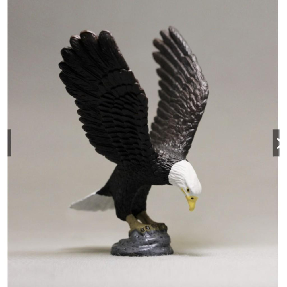 仿真動物 鳥類 白頭鷹 老鷹 禿鷹 小鳥 鷹 玩具 玩偶 模型 手辦 擺件-細節圖6