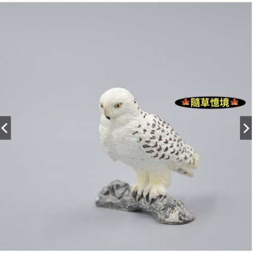 🍁隨草憶境 仿真 （1入/3入）owl 貓頭鷹 雪鴞 鳥 白鴞 動物模型 飛禽 動物模型 野生動物 玩具 益智 spg