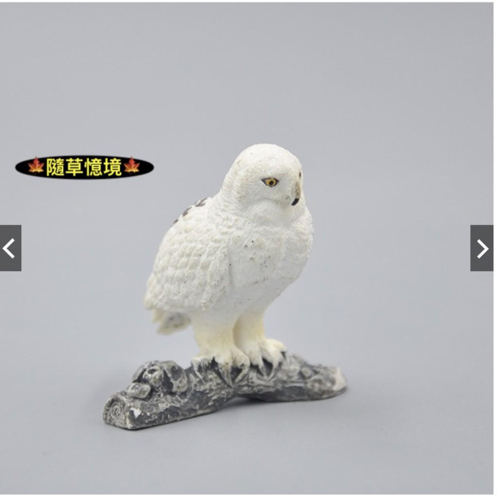 🍁隨草憶境 仿真 （1入/3入）owl 貓頭鷹 雪鴞 鳥 白鴞 動物模型 飛禽 動物模型 野生動物 玩具 益智 spg-細節圖3