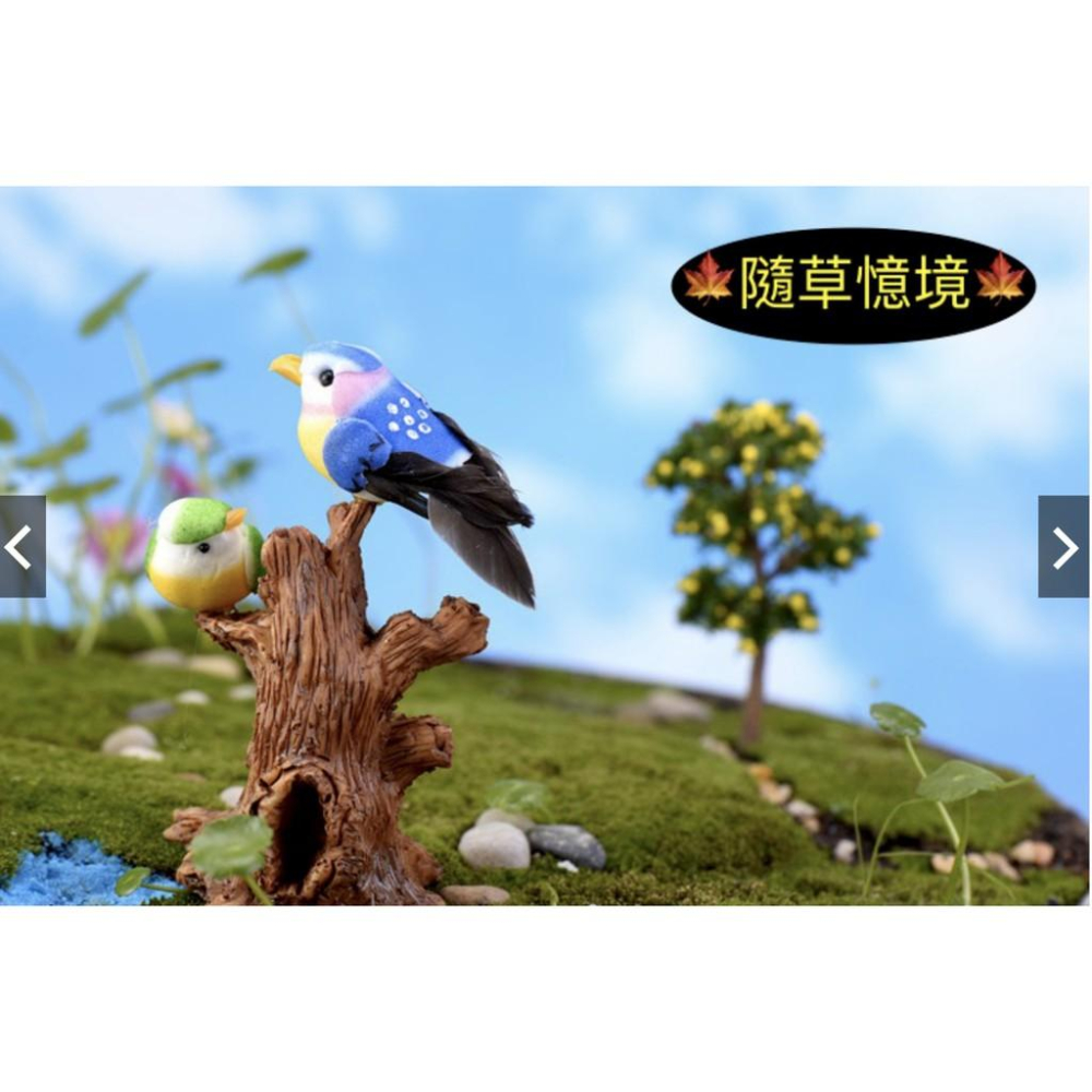 七彩小鳥 小鳥 鳥 鳥窩 鳥蛋 彩色鳥 苔蘚微景觀裝飾樹 DIY材料 裝飾 造景模擬多肉裝飾-細節圖3