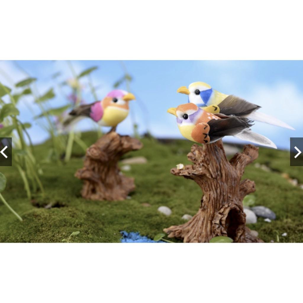 七彩小鳥 小鳥 鳥 鳥窩 鳥蛋 彩色鳥 苔蘚微景觀裝飾樹 DIY材料 裝飾 造景模擬多肉裝飾-細節圖4
