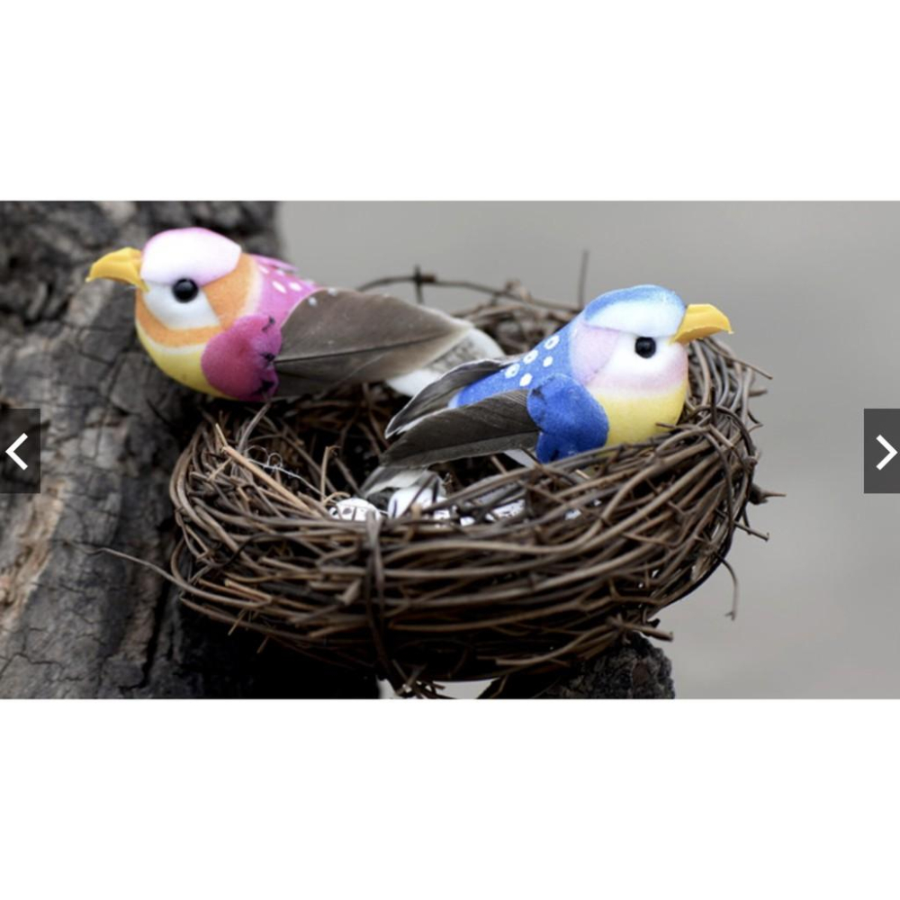 七彩小鳥 小鳥 鳥 鳥窩 鳥蛋 彩色鳥 苔蘚微景觀裝飾樹 DIY材料 裝飾 造景模擬多肉裝飾-細節圖7