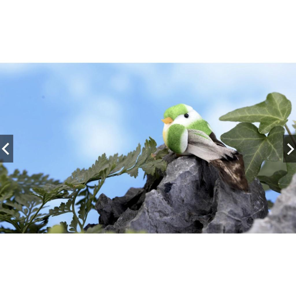 七彩小鳥 小鳥 鳥 鳥窩 鳥蛋 彩色鳥 苔蘚微景觀裝飾樹 DIY材料 裝飾 造景模擬多肉裝飾-細節圖8