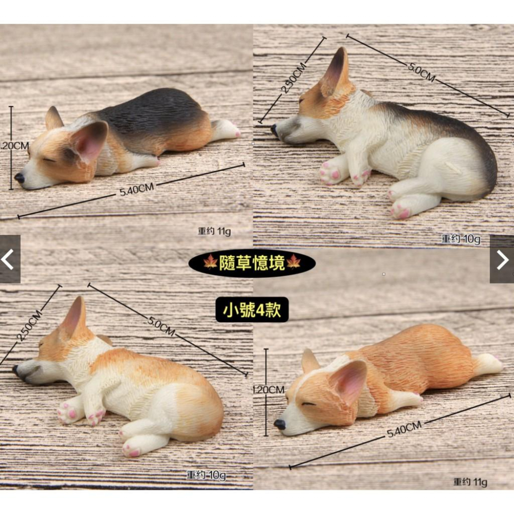 （大/小款超細緻樹脂）磁鐵 萌款 睡不醒超萌大號/小號 柯基 模型 柴犬diy冰箱貼公仔磁力貼 隨草憶境-細節圖3