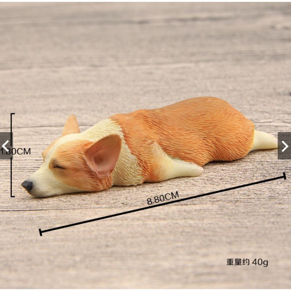 （大/小款超細緻樹脂）磁鐵 萌款 睡不醒超萌大號/小號 柯基 模型 柴犬diy冰箱貼公仔磁力貼 隨草憶境-細節圖4
