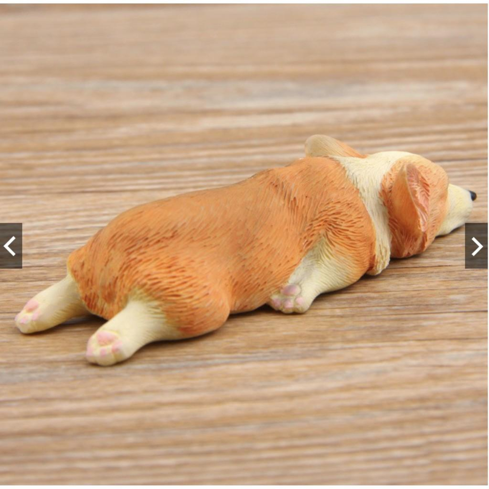 （大/小款超細緻樹脂）磁鐵 萌款 睡不醒超萌大號/小號 柯基 模型 柴犬diy冰箱貼公仔磁力貼 隨草憶境-細節圖5