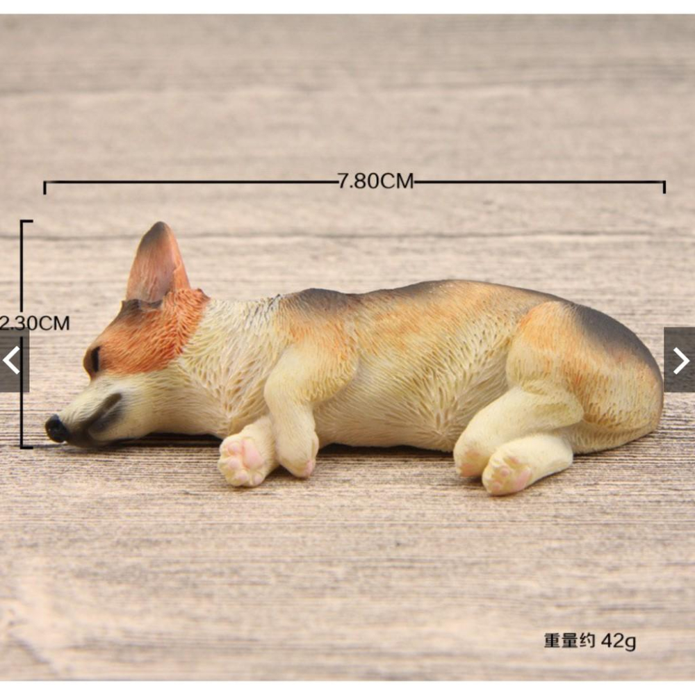 （大/小款超細緻樹脂）磁鐵 萌款 睡不醒超萌大號/小號 柯基 模型 柴犬diy冰箱貼公仔磁力貼 隨草憶境-細節圖6