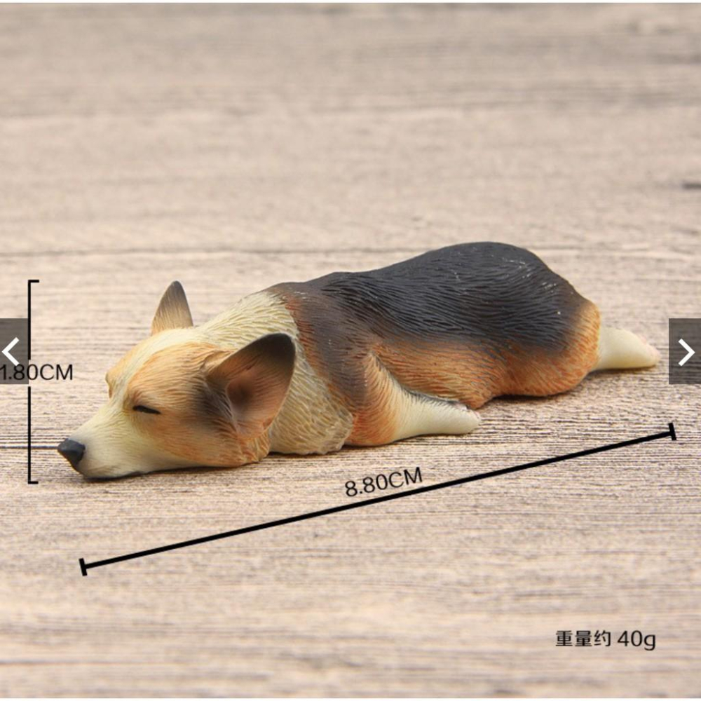 （大/小款超細緻樹脂）磁鐵 萌款 睡不醒超萌大號/小號 柯基 模型 柴犬diy冰箱貼公仔磁力貼 隨草憶境-細節圖7