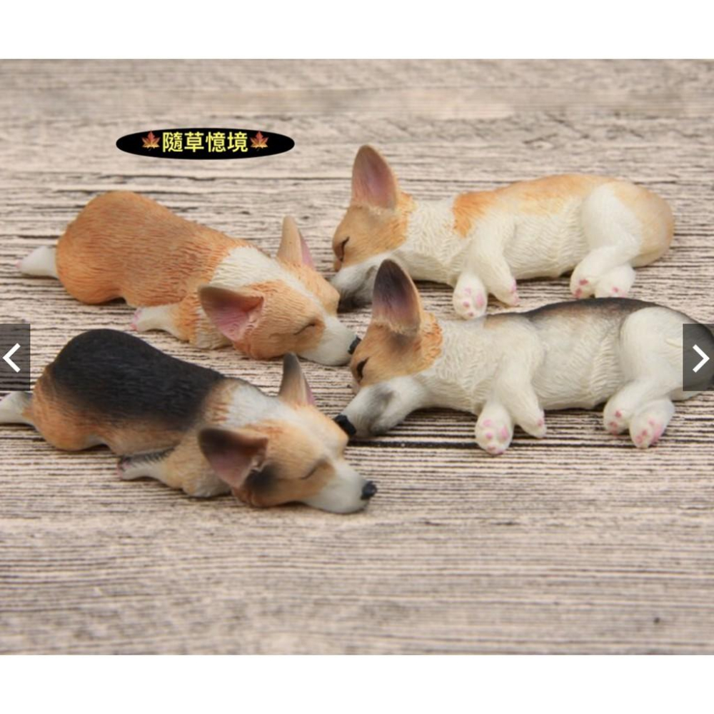 （大/小款超細緻樹脂）磁鐵 萌款 睡不醒超萌大號/小號 柯基 模型 柴犬diy冰箱貼公仔磁力貼 隨草憶境-細節圖8