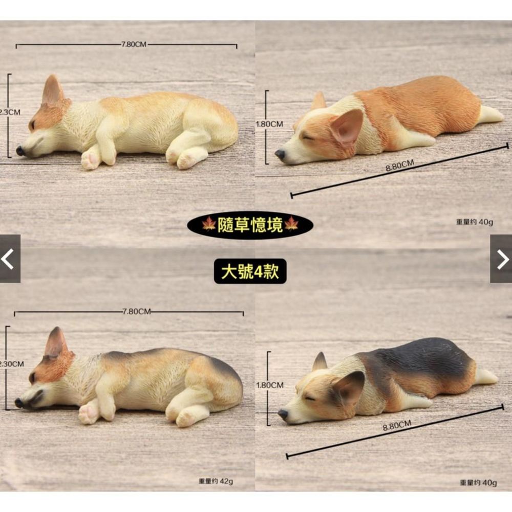 （大/小款超細緻樹脂）磁鐵 萌款 睡不醒超萌大號/小號 柯基 模型 柴犬diy冰箱貼公仔磁力貼 隨草憶境-細節圖9