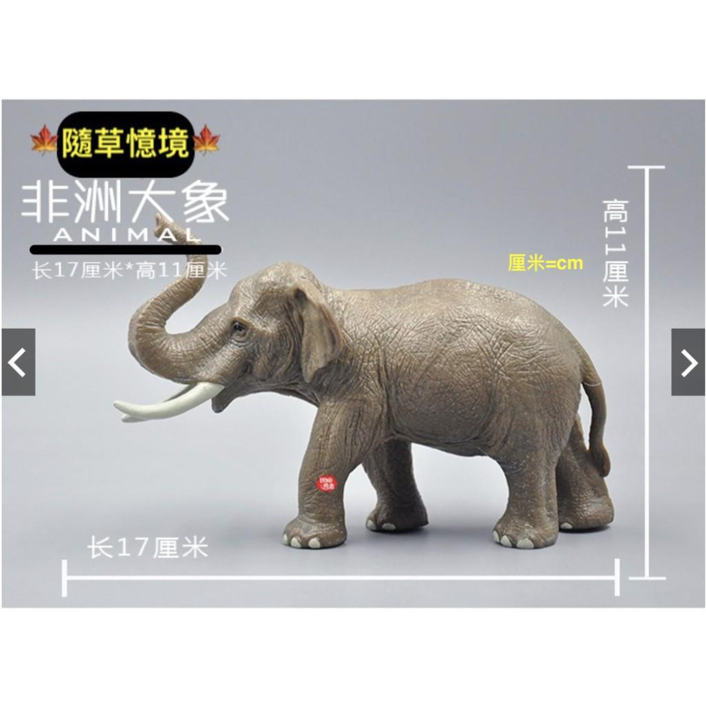 spg 正版 非洲大象 大象 實心有重量感 仿真動物模型套裝 野生動物 兒童玩具禮物-細節圖2