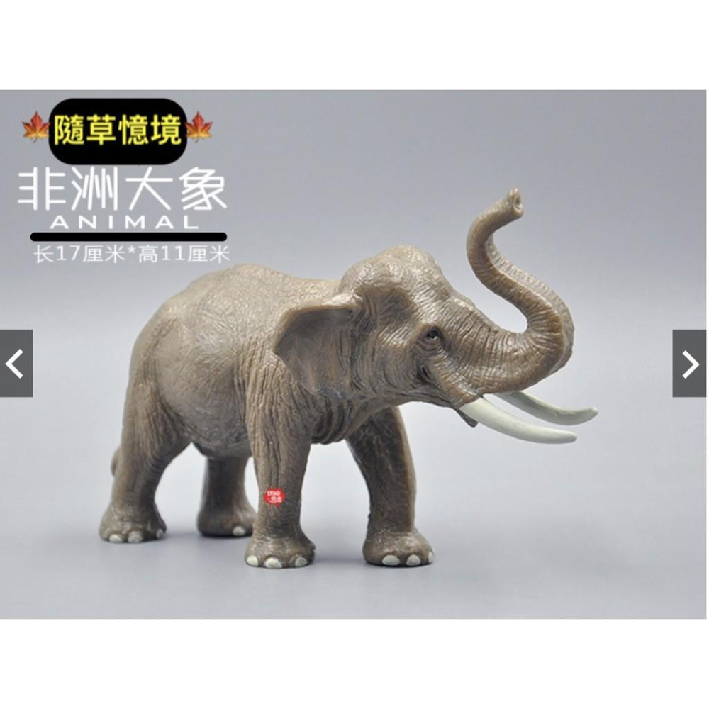 spg 正版 非洲大象 大象 實心有重量感 仿真動物模型套裝 野生動物 兒童玩具禮物-細節圖3