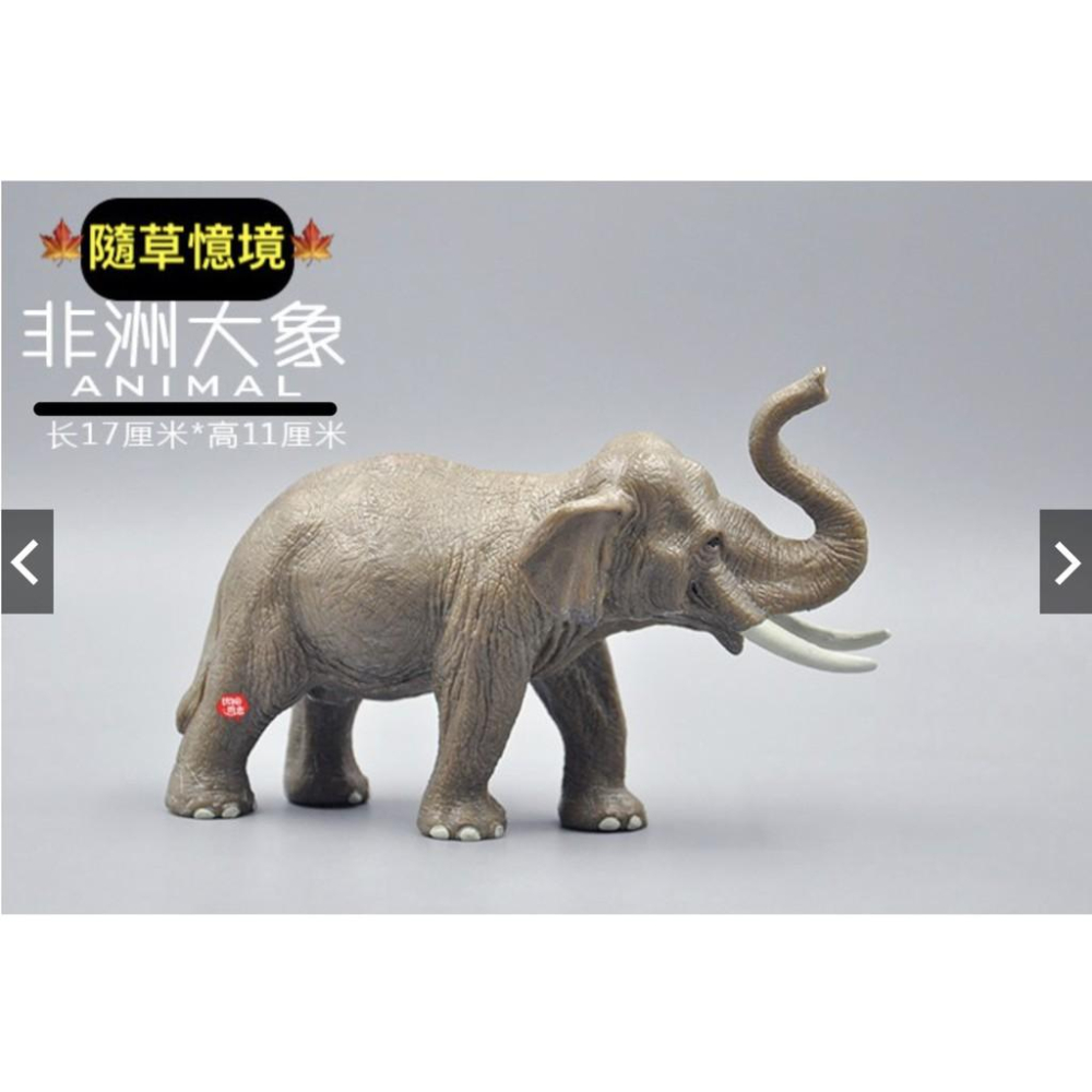 spg 正版 非洲大象 大象 實心有重量感 仿真動物模型套裝 野生動物 兒童玩具禮物-細節圖4