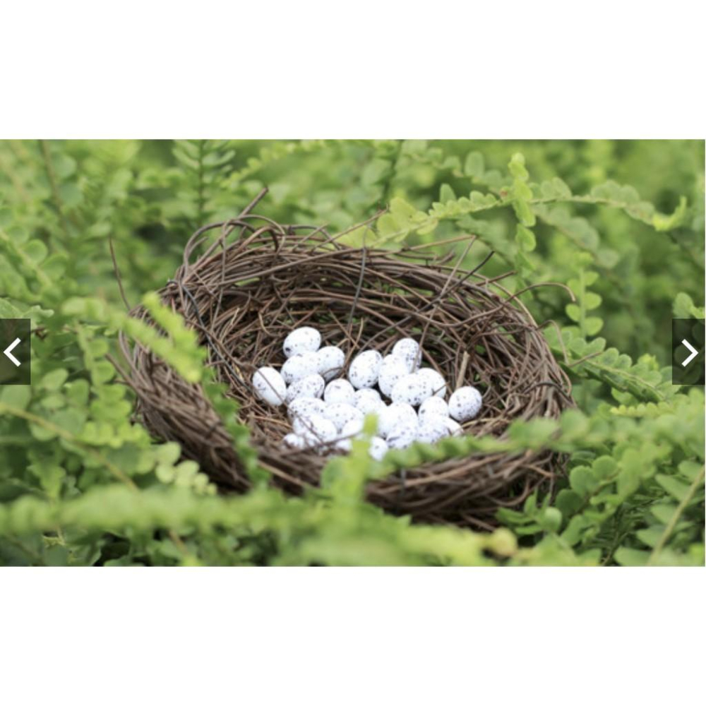 （多款真竹編）幸福 鳥窩 系列 鳥窩 鳥蛋 自然造景擺件 苔蘚微景觀飾品-細節圖4