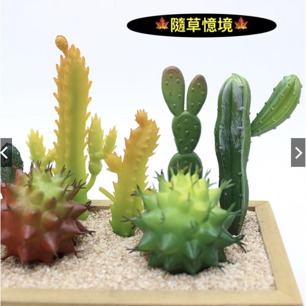 🍁仿真沙漠植物 仙人掌 仙人球 假仙人掌 微場景造景材料 diy 假植物 仿真植物 仿真多肉-細節圖7