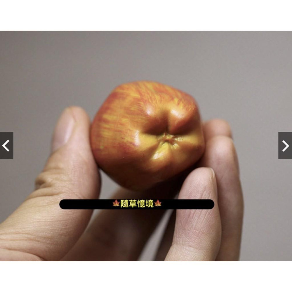 （1入/3入） 仿真微縮模型 小號 水果 紅蘋果 青蘋果 蘋果 apple 食玩 蘋果 實心 場景擺件 玩具-細節圖5