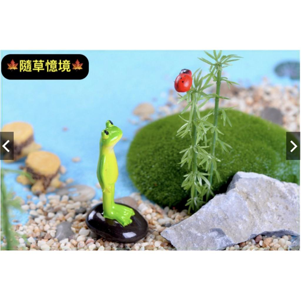 站立青蛙 青蛙 苔蘚微景觀擺件 蛋糕飾品 多肉擺件 小擺件DIY材料-細節圖6