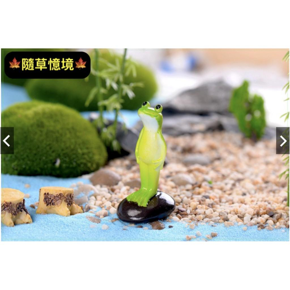 站立青蛙 青蛙 苔蘚微景觀擺件 蛋糕飾品 多肉擺件 小擺件DIY材料-細節圖7