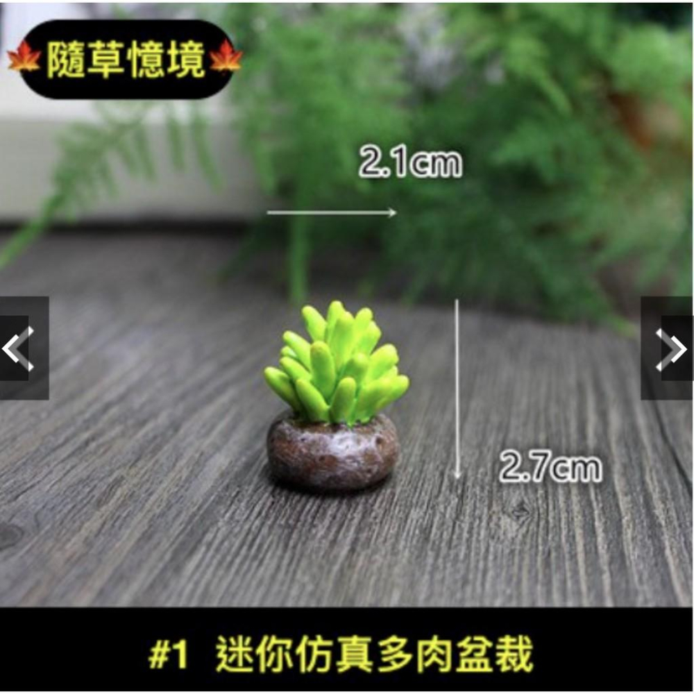 （一組8款入）仿真多肉 模擬多肉植物花盆飾品 苔蘚微景觀生態瓶擺件 新品樹脂擺件-細節圖2